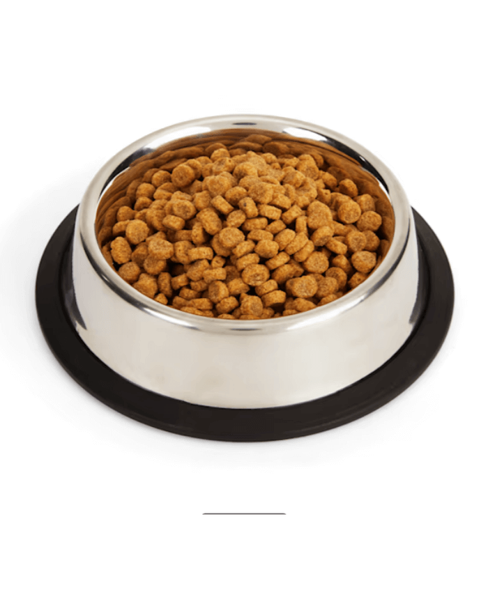 EveryYay Dining In Brushed Stainless Steel No-Tip Cat Bowl, 1 Cup